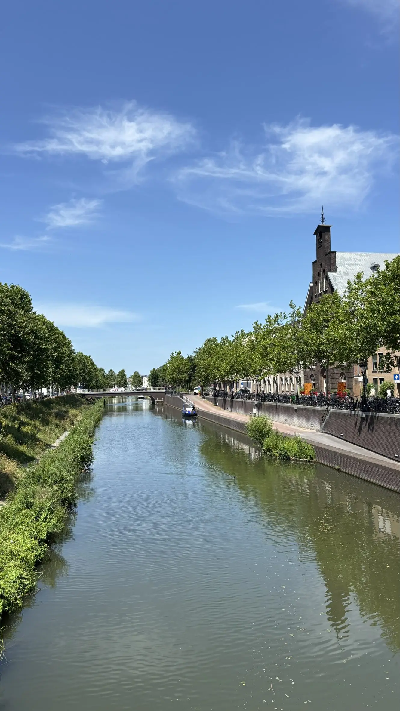 Tree-lined canal in Utrecht