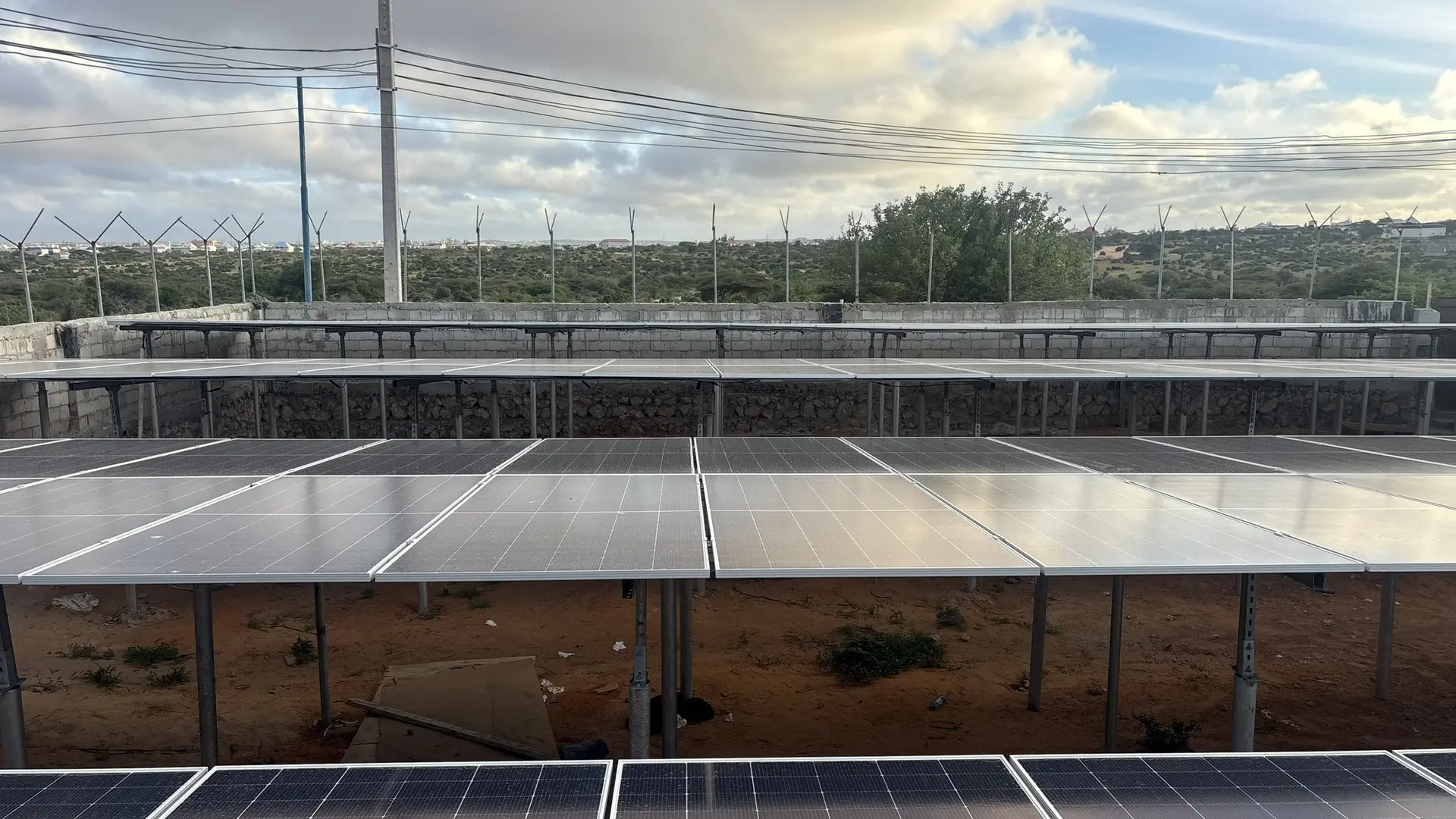 Rows of solar panels with a fence and trees behind