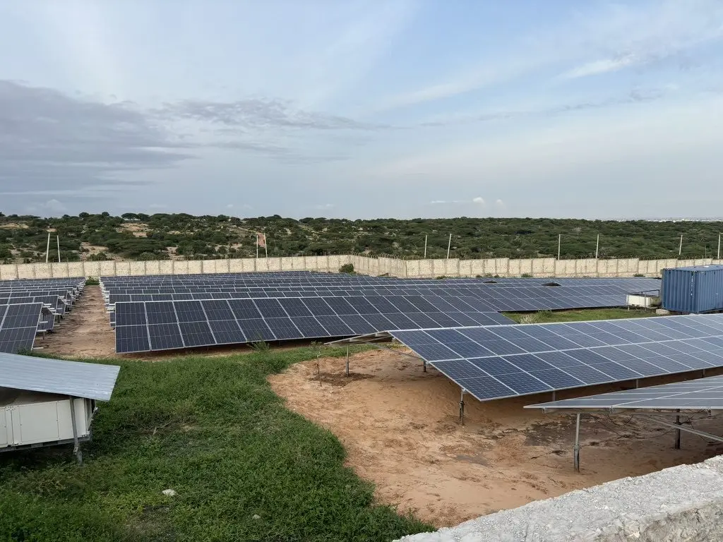 Rows of ground-mounted solar panels under a blue sky