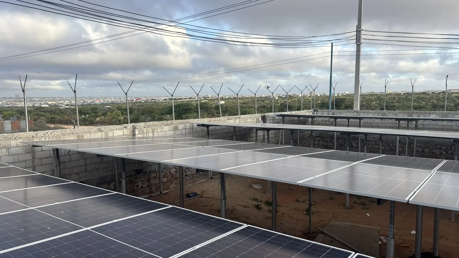 Rows of solar panels on a flat roof